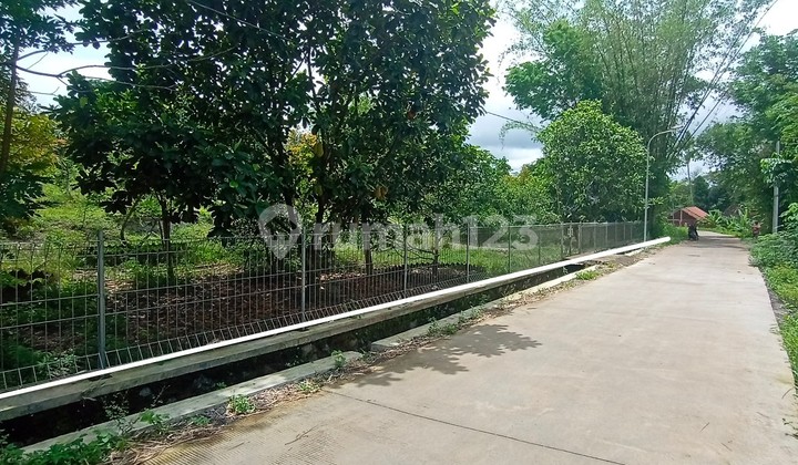 Jual Tanah Dicangkringan Sleman Dg Kebun Buah Jual Tanah Dicangkringan Sleman Dg Kebun Buah