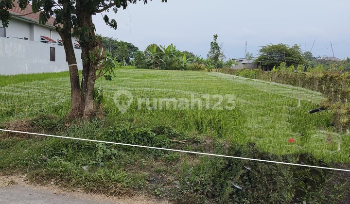 Strategic Land for Sale in Digodean Near Godean Subdistrict Strategic Land for Sale in Digodean Near Godean Subdistrict