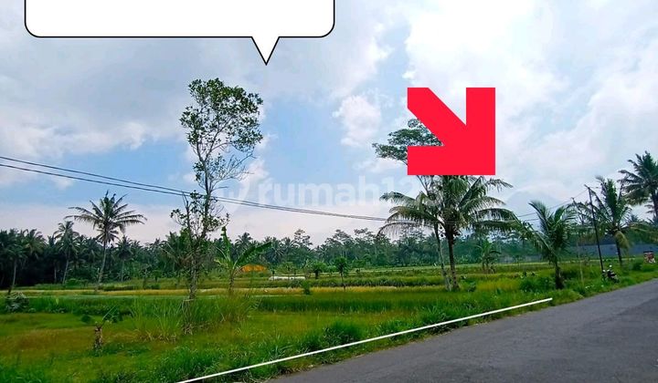 Tanah Tepi Jalan Raya View Merapi Super Murah Sleman Utara
