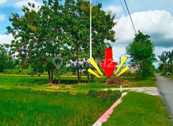 Tanah Bagus Siap AJB Berbah Lingkungan Asri dan Perumahan