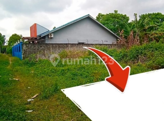 Tanah Murah Sekitar Sd Model & Stadion Maguwoharjo Tanah Murah Sekitar Sd Model & Stadion Maguwoharjo