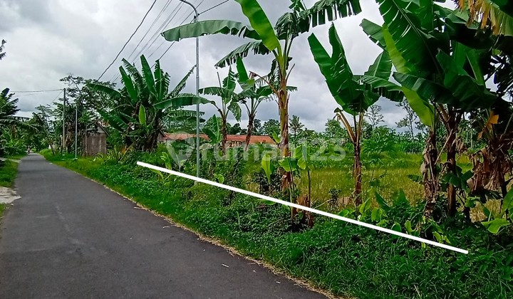 Maguwoharjo Land Area, Housing Near Stadium Ringroad Exit Toll