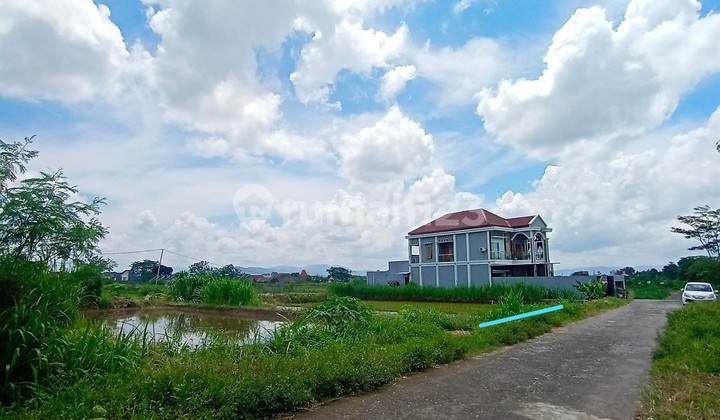 Jual Tanah View Sawah Dan Merapi Purwomartani Kalasan