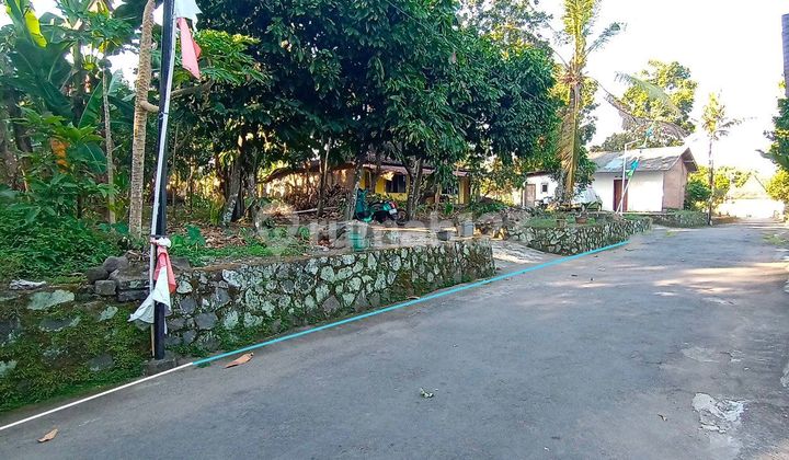 Tanah Harga Murah Lokasi Strategis Dekat Jalan Kaliurang Yogyakarta