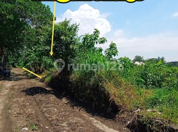 Jual Tanah Area Maguwoharjo Cocok Bangun Kost Mahasiswa