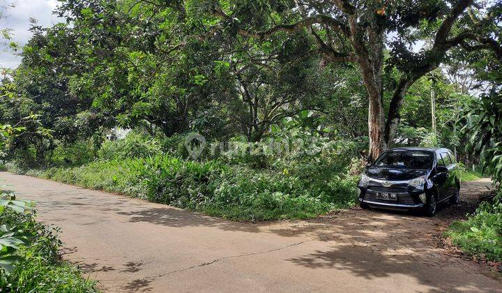 Tanah datar bentuk L di cisauk desa dandang Tangerang 1