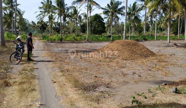 Dijual Tanah Pekarangan Di Pleret, Panjatan, Kulon Progo, Jogja 1