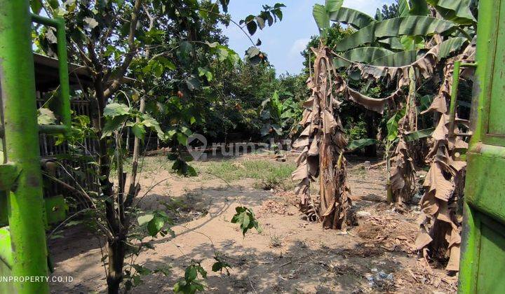 Disewakan Tanah Pekarangan Cocok Untuk Gudang Ngemplak, Sleman 2