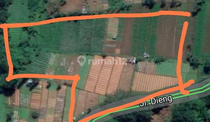 TANAH PEKARANGAN, JL DIENG KM 11, KURIPAN, GARUNG, WONOSOBO, JATENG 5