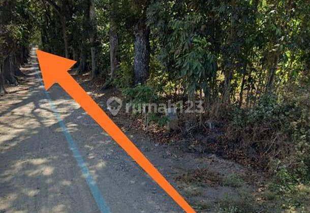 Tanah Pekarangan, Di Jl Daendels, Purworejo, Jawa Tengah 6