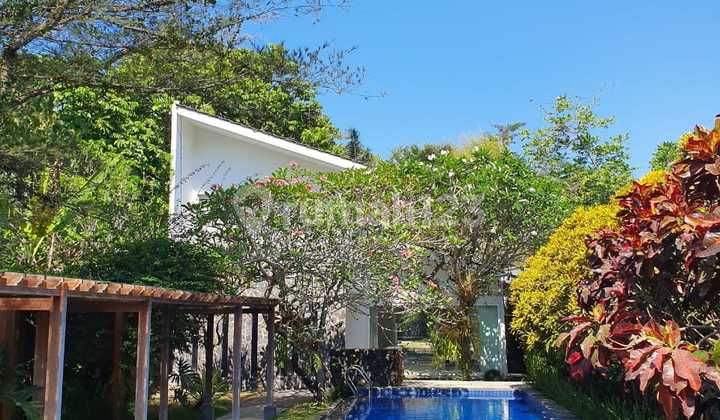 Serene House With Swimming Pool, Pandowoharjo, Sleman.