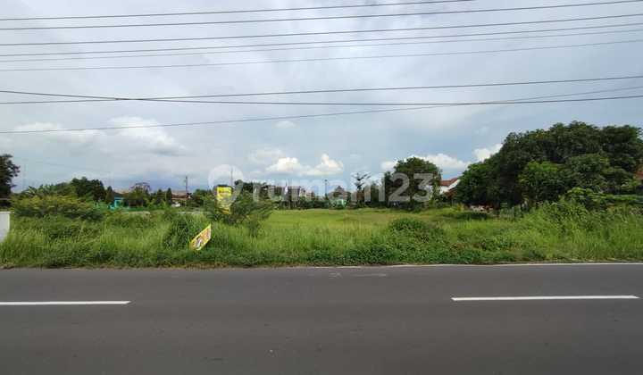 Tanah Pekarangan Luas Di Tlogo, Prambanan, Klaten 6