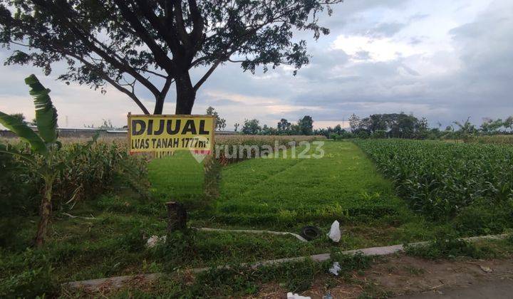 Dijual Tanah Sawah Di Mlese, Ceper, Klaten, Jawa Tengah 1