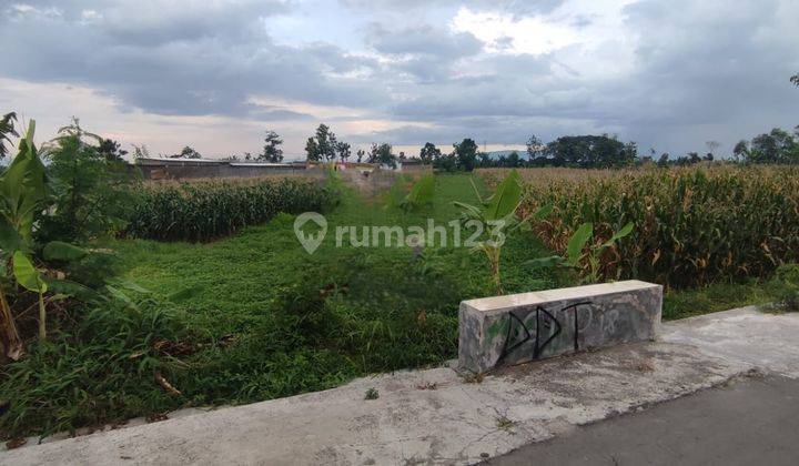 Dijual Tanah Sawah Di Mlese, Ceper, Klaten, Jawa Tengah 1