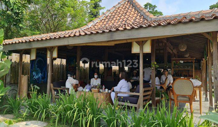 Villa Kayu View Sawah, Bangunjiwo, Kasihan, Bantul 1