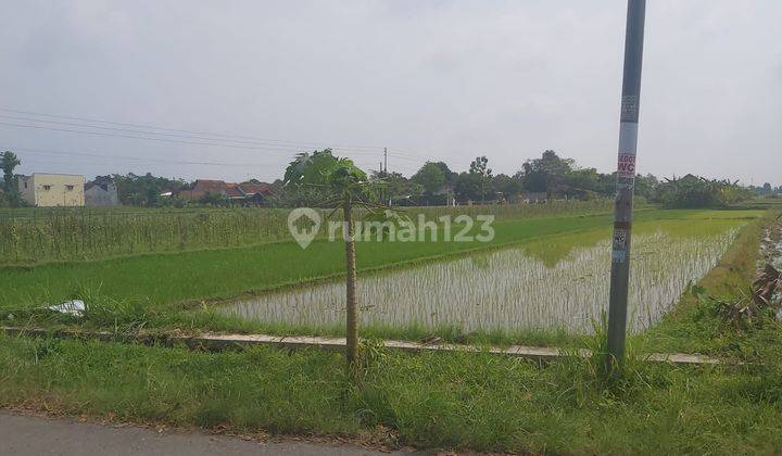 Tanah Pekarangan, Prambanan, Klaten, Jawa Tengah 2