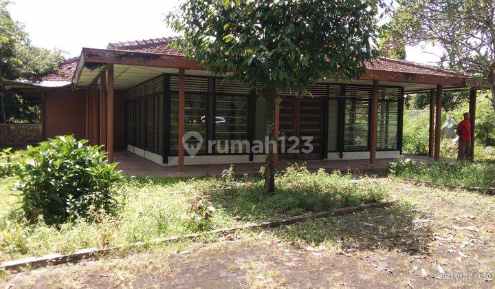 Rumah Luas Dekat Kampus Pgri, Wirobrajan, Jogja 1