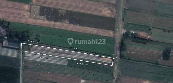Tanah Kering Di Dusun Kadirojo, Purwomartani, Kalasan, Sleman 2