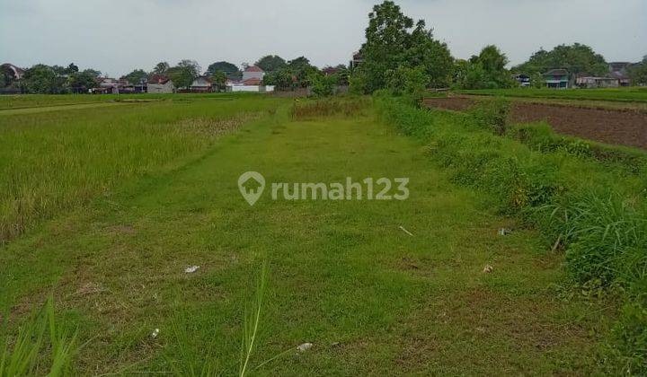 Tanah Kering Di Dusun Kadirojo, Purwomartani, Kalasan, Sleman 3