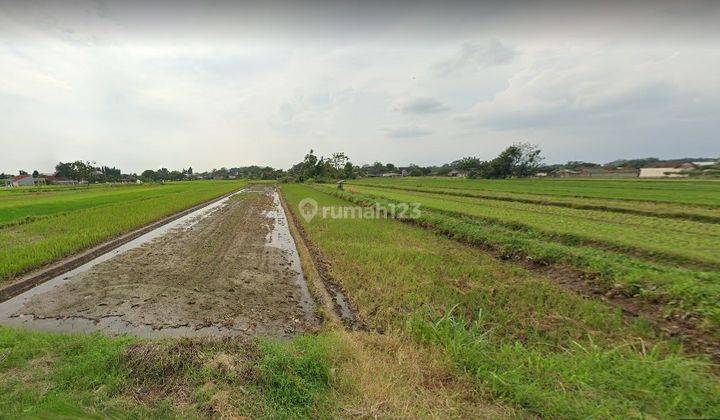 Tanah Kering Di Dusun Kadirojo, Purwomartani, Kalasan, Sleman 1