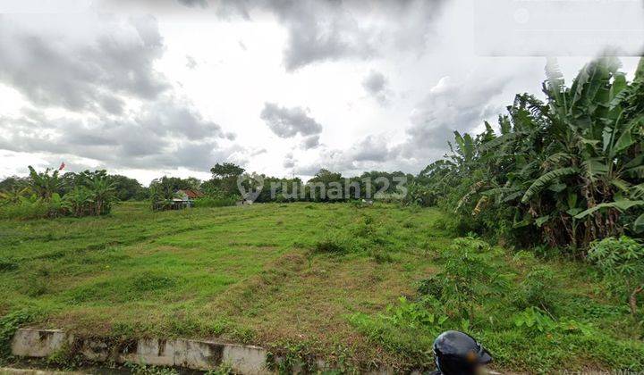 Tanah Sawah Luas Belakang Jogja City Mall, Mlati, Sleman 2