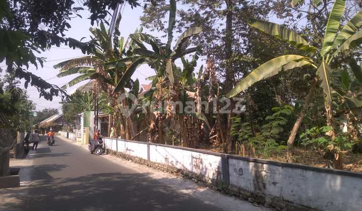 Tanah Pekarangan Dekat Pemda Sleman Dan Sch , Sleman, Jogja Tanah Pekarangan Dekat Pemda Sleman Dan Sch , Sleman, Jogja