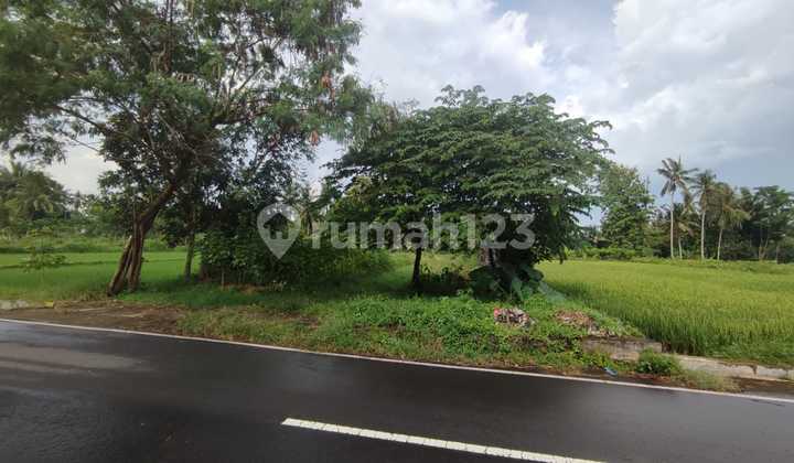 Tanah Cocok Untuk Villa Atau Resto, Ngaglik, Sleman, Jogja