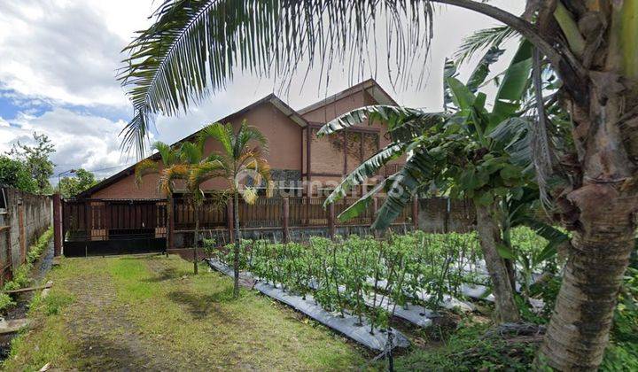 Dijual Rumah Homestay Di Donokerto Lokasi Strategis 1