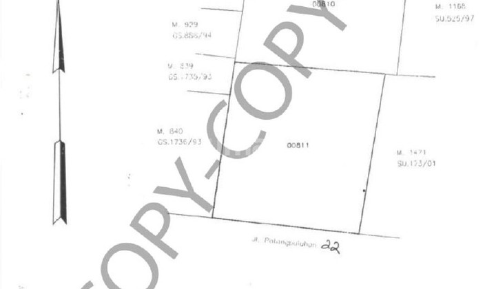 RUMAH KLASIK DENGAN TANAH LUAS 4213 M2, WIROBRAJAN, JOGJA 2