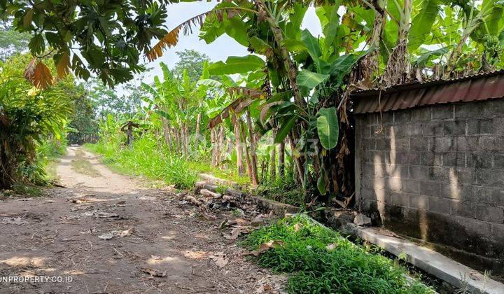 Disewakan Tanah Pekarangan Cocok Untuk Gudang Ngemplak, Sleman 1