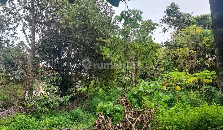 Dijual Tanah Pekarangan Di Gamping Lor, Ambarketawang, Sleman 2