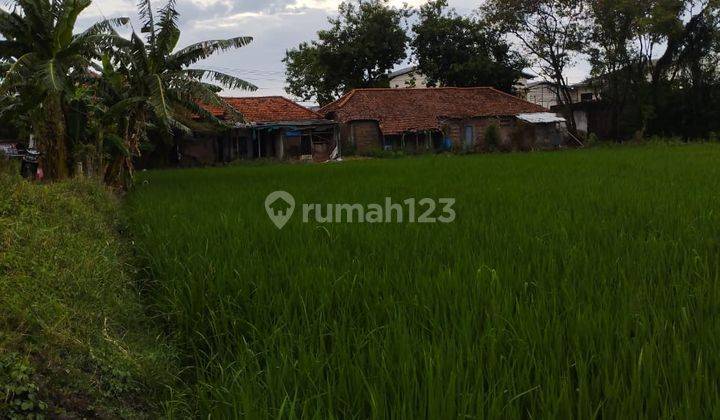 Dijual Tanah Industri Di Bambe, Driyorejo, Gresik, Jawa Timur 2