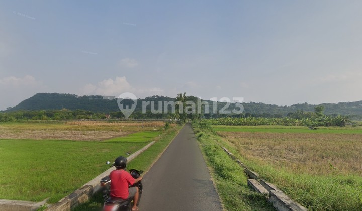 TANAH PEKARANGAN 1600 M2, KEBON DALEM KIDUL, PRAMBANAN, KLATEN, JAWA TENGAH TANAH PEKARANGAN 1600 M2, KEBON DALEM KIDUL, PRAMBANAN, KLATEN, JAWA TENGAH