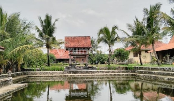 Villa Rumah Etnik Javanese Style, Dayakan, Sardonoharjo, Ngaglik, Sleman, Jogja