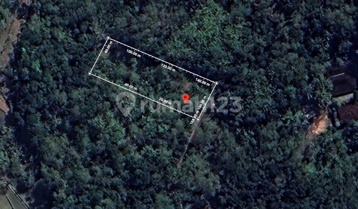 TANAH COCOK UNTUK USAHA PERTERNAKAN, NGLIPAR, GUNUNG KIDUL, JOGJA TANAH COCOK UNTUK USAHA PERTERNAKAN, NGLIPAR, GUNUNG KIDUL, JOGJA