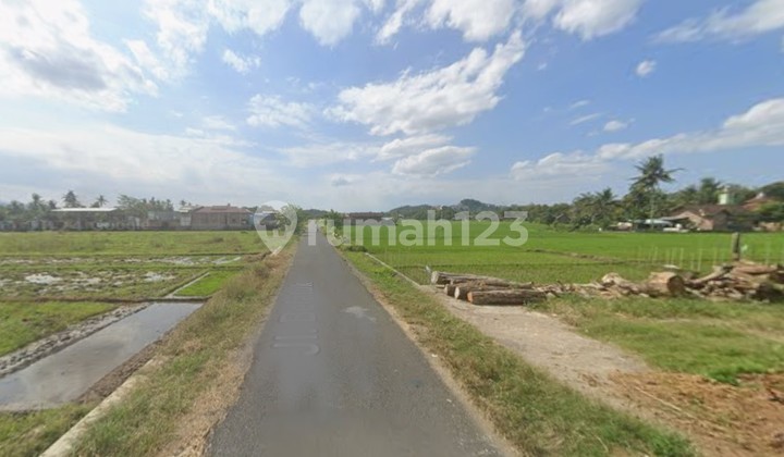 Rice Field Land Area 1370 M2, Sumberagung, Moyudan, Sleman, Jogja Rice Field Land Area 1370 M2, Sumberagung, Moyudan, Sleman, Jogja