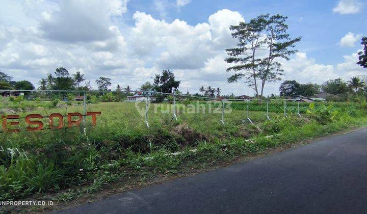 Dijual Tanah Luas Di Harjobinangun, Sleman, Jogja  2