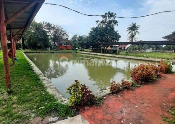 Di Jual Tanah Harga Rendah Lokasi Strategis Margajaya Bogor 2