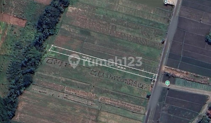 Rice Field Land Area 1370 M2, Sumberagung, Moyudan, Sleman, Jogja Rice Field Land Area 1370 M2, Sumberagung, Moyudan, Sleman, Jogja