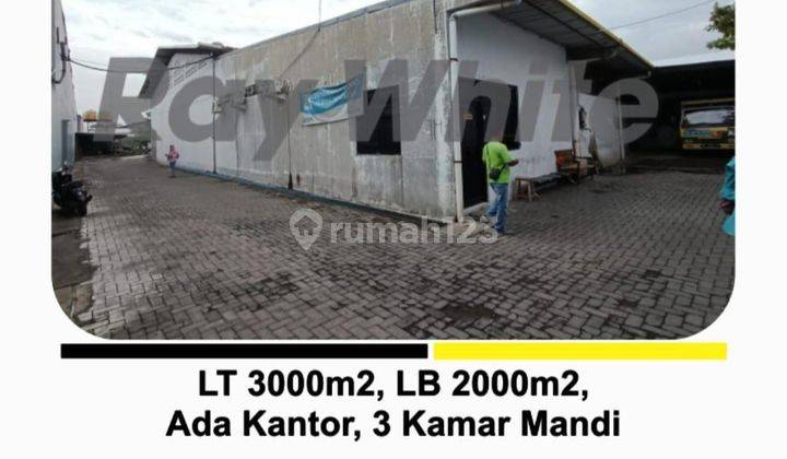 Gudang di Jl. Arak Arak Telukan 1