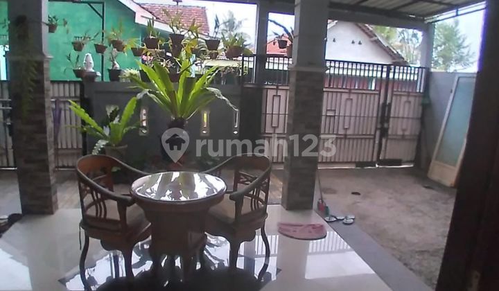 Cheap Fully Furnished House!