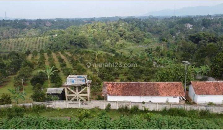 Dijual cepat tanah perkebunan alpukat di Parung kuda Sukabumi  1