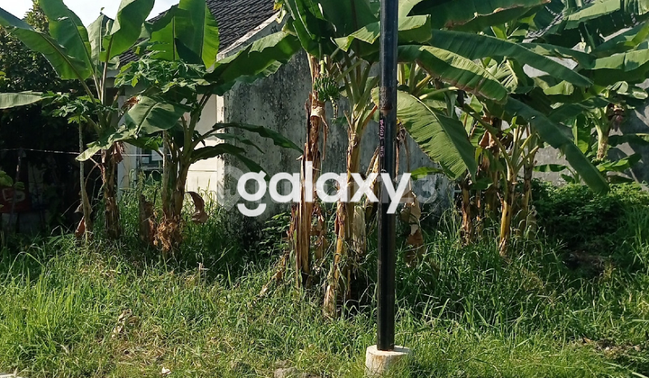 Rumah Hitung Tanah 2