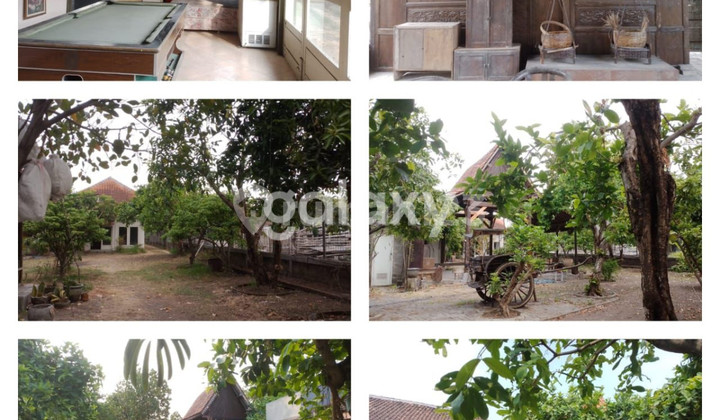 Rumah dan Tanah pekarangan luas 1