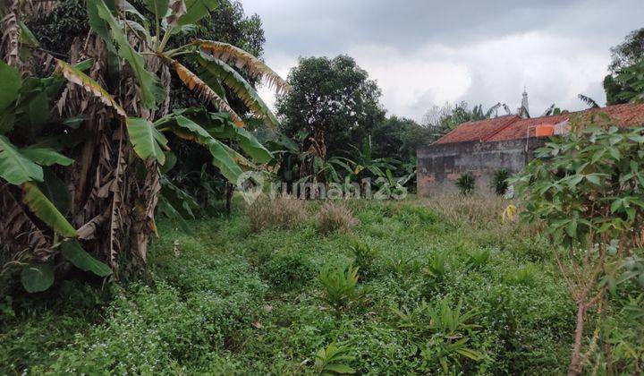 Legalitas Dijamin SHM Tanah Area Ciangsana Bogor Lingkungan Nyaman Cocok Bangun Perumahan 3
