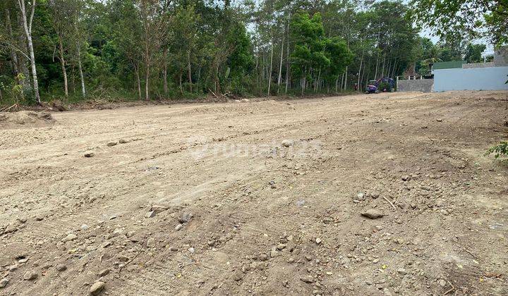 Tanah di Jalan Raya Bojong Gede Bogor Cocok Bangun Hunian Idaman 3