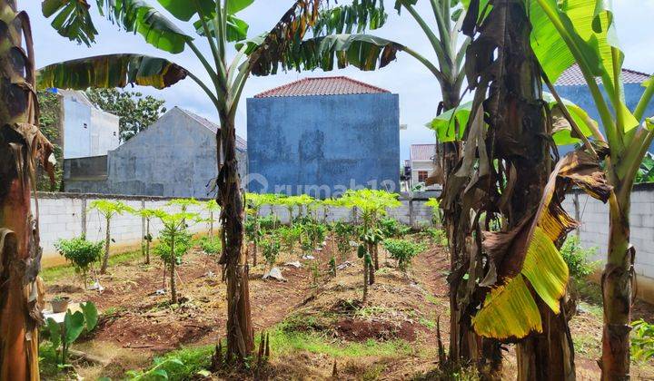 Tanah Paling Murah di Tanah Baru Depok Lokasi Cocok Bangun Rumah 2