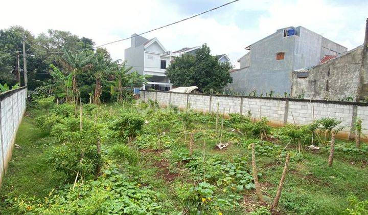 Tanah Paling Murah di Tanah Baru Depok Lokasi Cocok Bangun Rumah 3