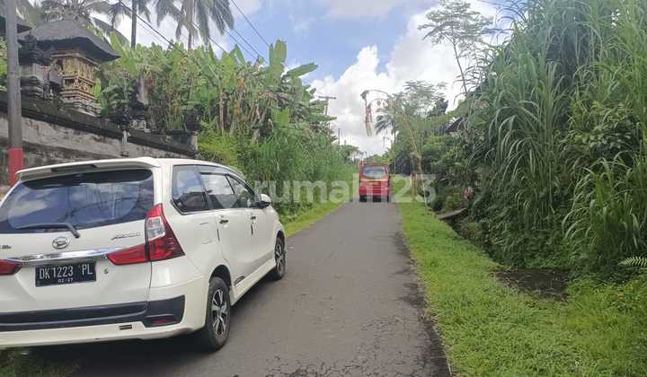 Land Freehold 1600 Sqm In Payangan Ubud Bali