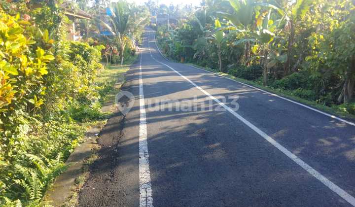 Freehold Land in Prime Location Selemadeg Tabanan Bali Freehold Land in Prime Location Selemadeg Tabanan Bali